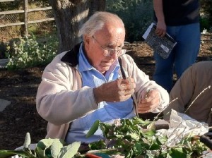 Bruce Van Dyke teaches grafting technique